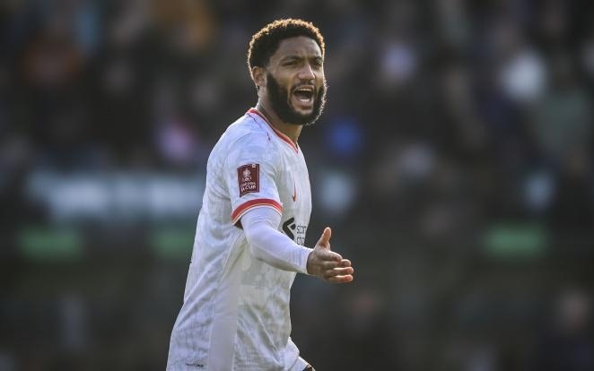 如果你需要 如果你需要