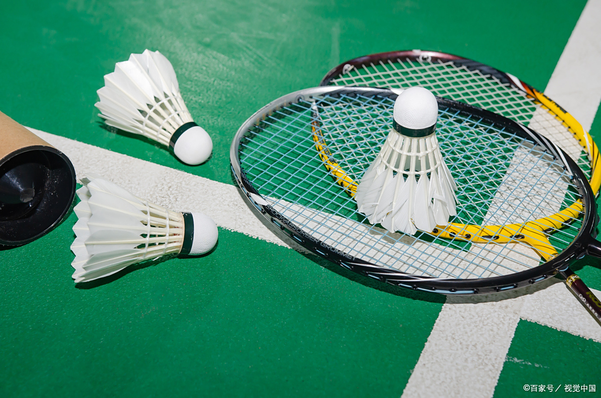 大陆羽毛球 大陆羽毛球